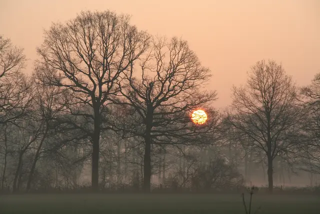 Symbolbild Schepers / Stadt Hamminkeln lädt zur Ideenwerkstatt für das Rathausumfeld ein