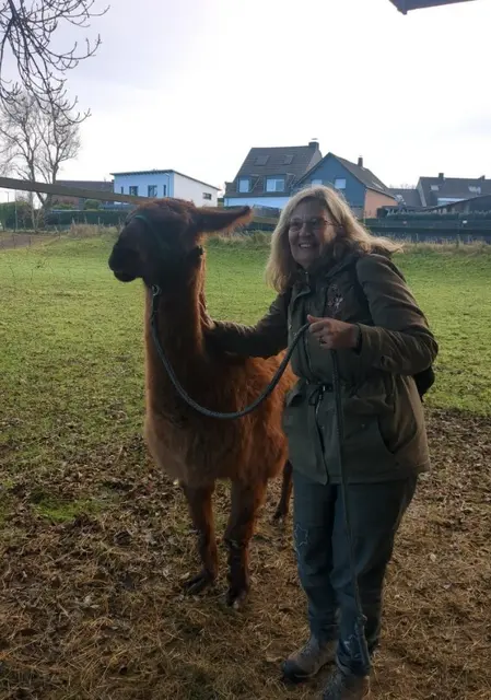 Auf Tuchfühlung mit dem Lama | Foto: Astrid Günther