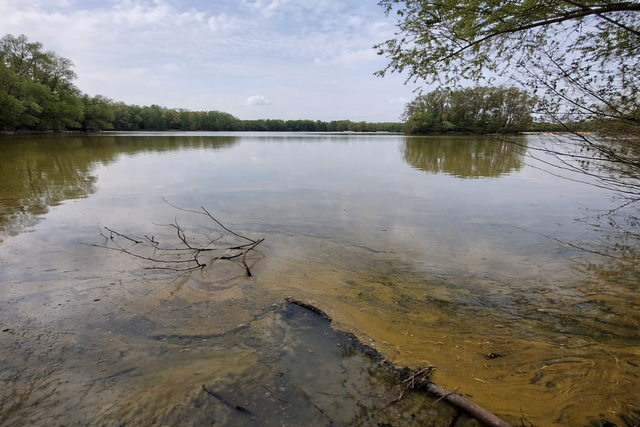 Kontakt vermeiden:Blaualgen (Cyanobakterien) am kleinen Toeppersee, Tegge, in Rheinhausen
Foto: WBD
