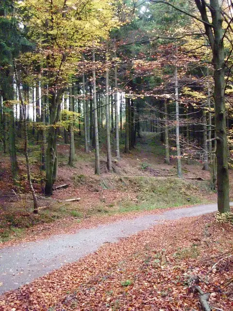 Blick auf den Sandkopf von Münder Heerstraße nahe Klagesbornweg  | Foto: Winfried Gehrke