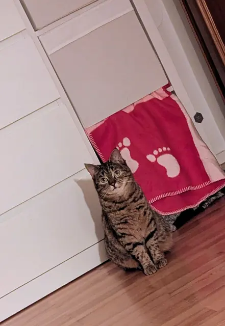 Zicke | Foto: privat