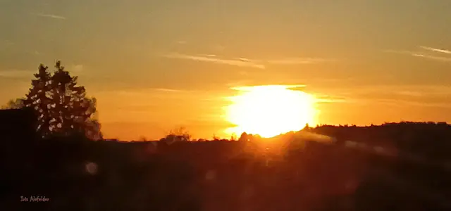 Foto: Iris Alefelder