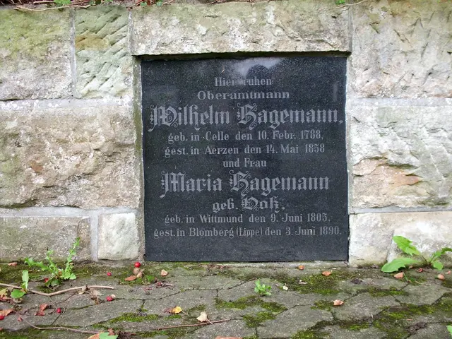 Amtmann Hagemann 1835 in Wennigsen Grabplatte Friedhof Wennigsen | Foto: Winfried Gehrke