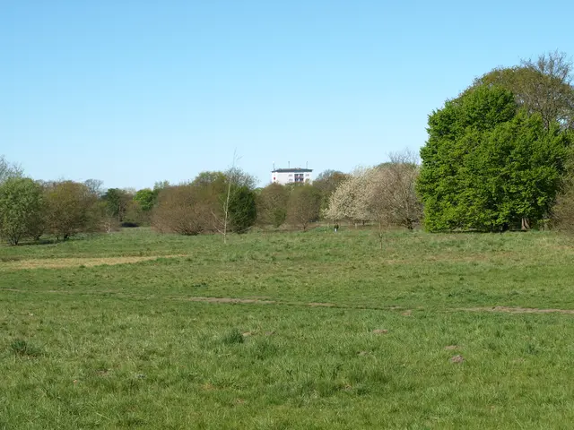 Rückblick