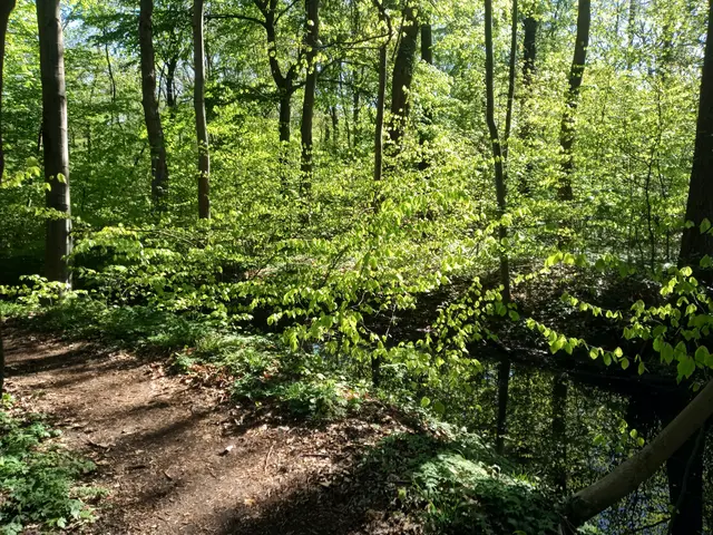 Am Landwehrgraben