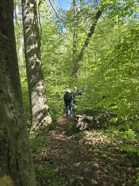 Verwunschene Pfade