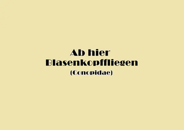 Foto: GvMeegen