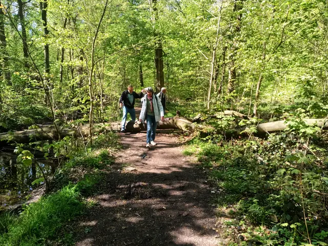 Weg mit Hindernissen