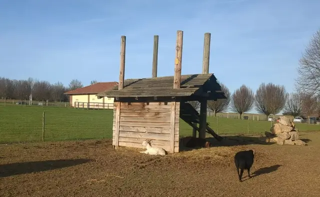 Bonnheimer Hof, Hackenheim | Foto: Astrid Günther
