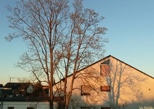 Foto: Iris Alefelder