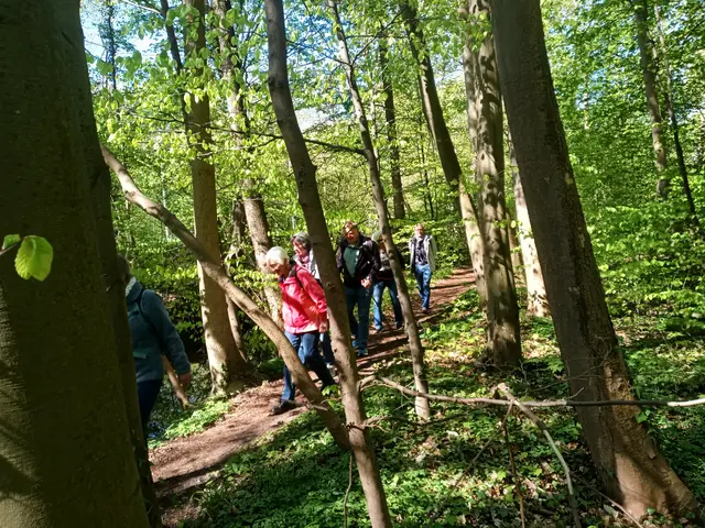 Schmaler Pfad am Landwehrgraben