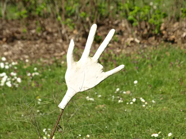 Weiße Hand,  Teil der künstlerischen Installation von Klaus-Dieter Kappenberg