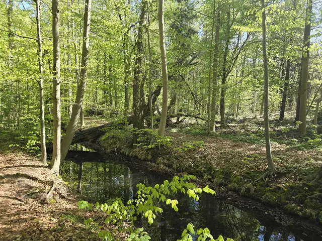 Am Landwehrgraben entlang