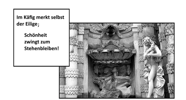 Amadeus - 1 Punkt - Dresden