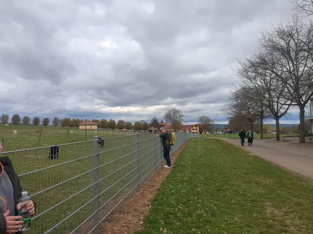 Bonnheimer Hof, Hackenheim | Foto: Astrid Günther