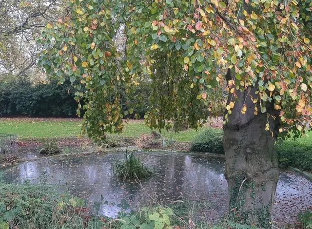 Botanischer Garten Duisburg-Hamborn | Foto: Astrid Günther
