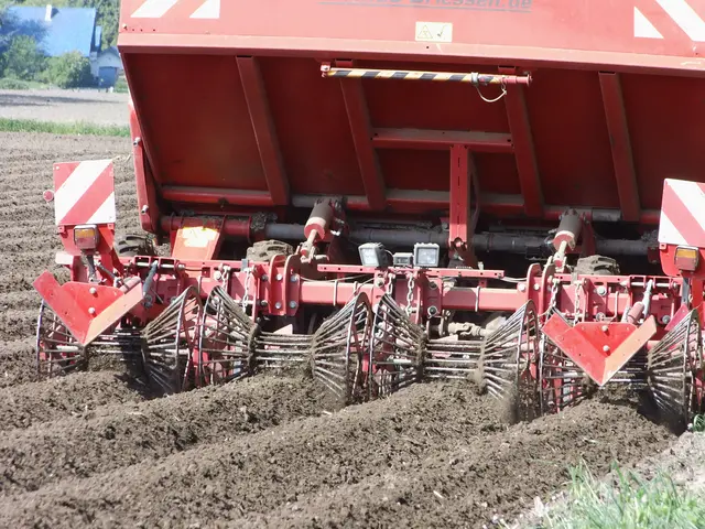 Kartoffellegemaschine Für präzises Pflanzen von Kartoffeln konzipiert. | Foto: Siegmund Walter, 24.04.2026, 11:09 Uhr