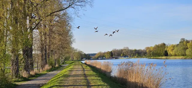 Foto: (c) Wolfgang Weiss