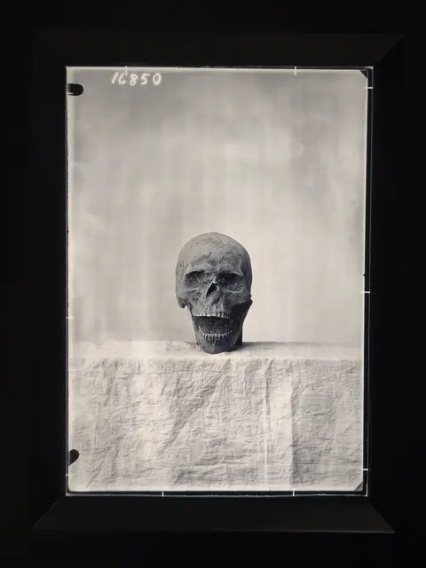 Historische Fotografie, 1939