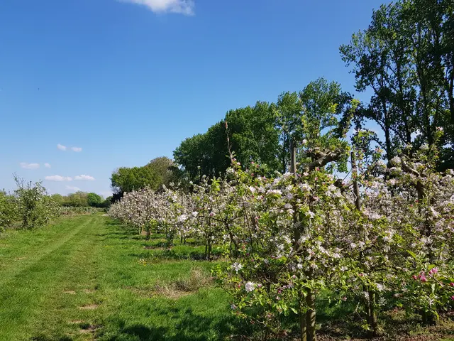 Apfelhof am Niederrhein
