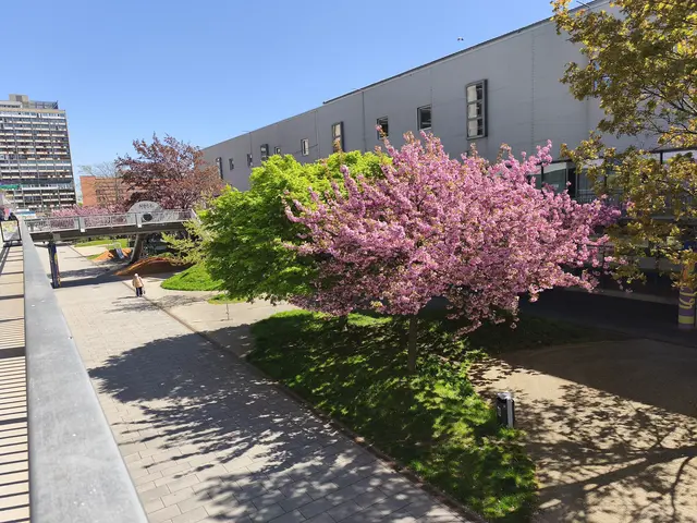 Bepflanzung der Passage