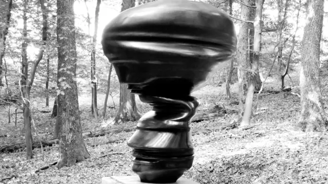 Nicole - 1 Punkt - Tony Cragg Cast Glances