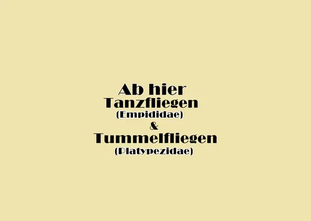 Foto: GvMeegen