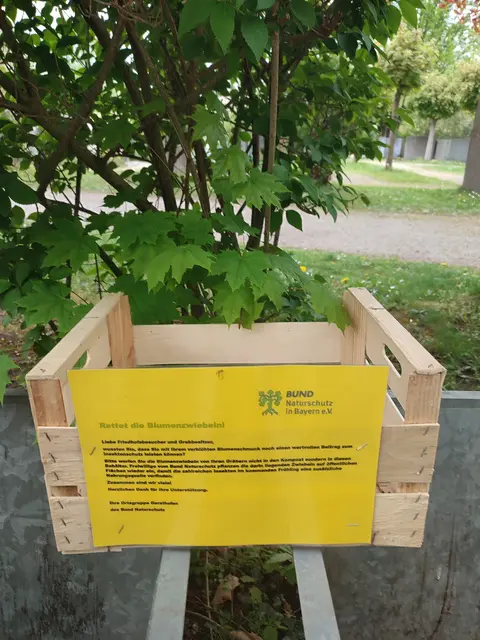Sammelkiste für Blumenzwiebel wurden auf dem Gersthofer Friedhof aufgestellt | Foto: Foto Claudia Wegele