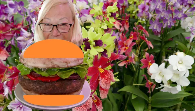 Iris - 1 Punkt - Burger King