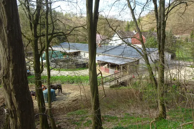 Blick auf die Untermühle