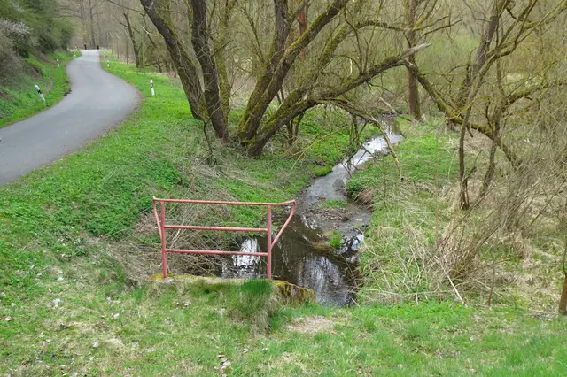 Schmale Wipper am Abfluss des Mönchteiches