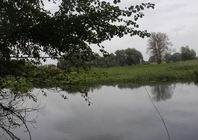 Hitzacker an der Elbe | Foto: Astrid Günther