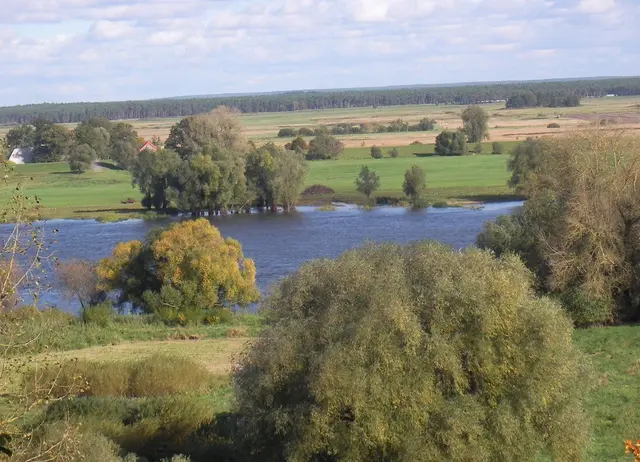 Hitzacker an der Elbe | Foto: Astrid Günther