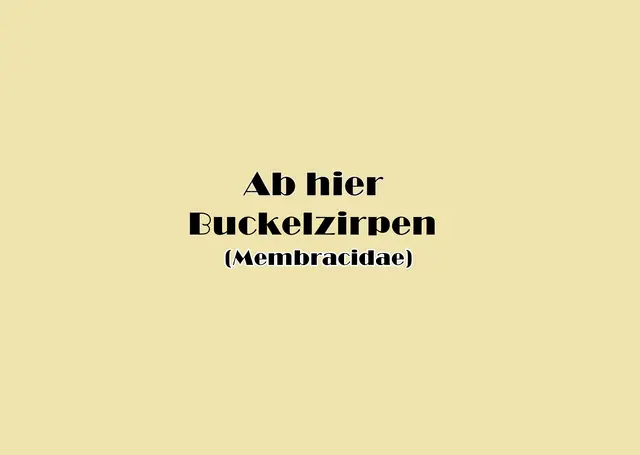 Foto: GvMeegen