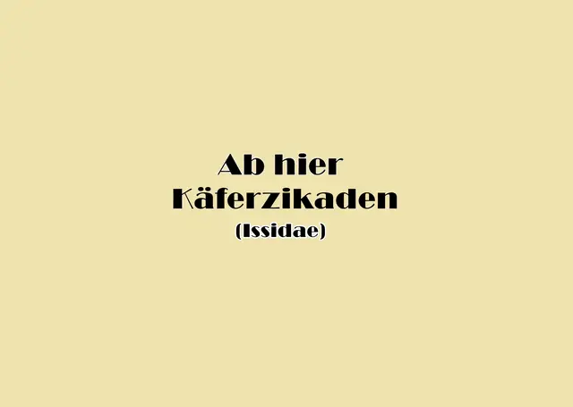 Foto: GvMeegen