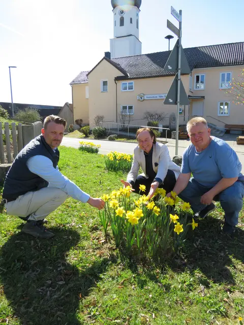 (Markt Zusmarshausen) 
Am Dorfplatz in Wollbach stehen die Narzissen schon in voller Blüte. Bürgermeister Bernhard Uhl (Mitte), Marktbaumeister Peter Finkenzeller (links) und Bauhofmitarbeiter Thomas Lanzendorfer (rechts) freuen sich über die Blumenpracht.