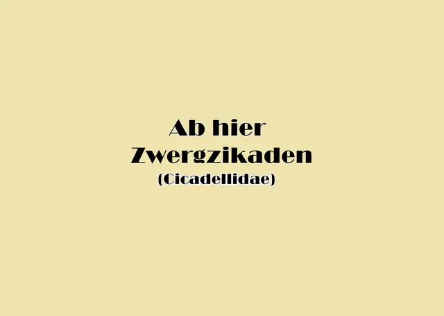 Foto: GvMeegen