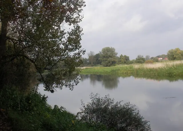 Hitzacker an der Elbe | Foto: Astrid Günther