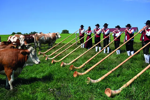 Alphorn-Bläserinnen und -bläser aus Walkertshofen (Landkreis Augsburg) | Foto: Wolfgang Kleiner