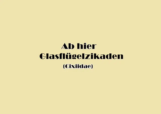 Foto: GvMeegen
