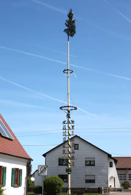 In der Erlinger Ortsmitte wurde von der Freiwilligen Feuerwehr Erlingen und von Mitgliedern des Schützenvereins „Unter uns“ der Maibaum bereits aufgestellt. | Foto: Peter Heider