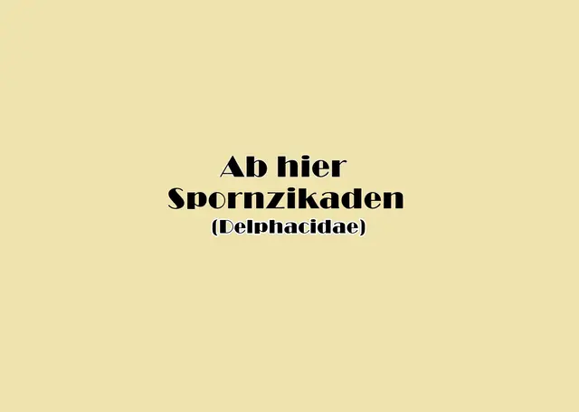 Foto: GvMeegen
