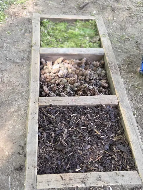 Foto: Freie Schwimmer Rheinkamp