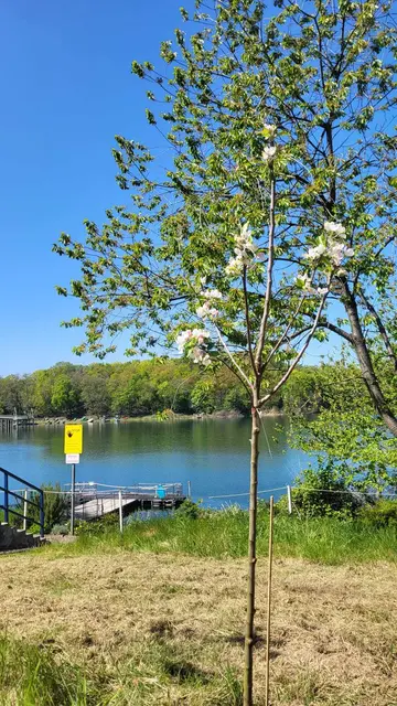 Foto: Freie Schwimmer Rheinkamp 