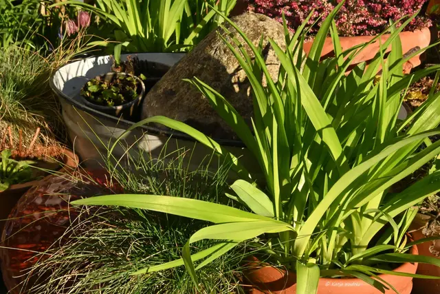 Garten im Jahreslauf (Foto: Katja Woidtke)

Zart durch den April - rund um den Sprudelstein | Foto: Katja Woidtke