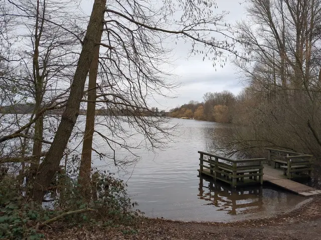Der Wambachsee in Duisburg | Foto: Astrid Günther