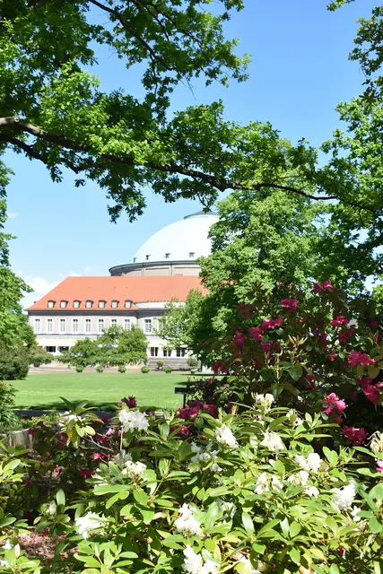 Der Stadtpark Hannover feiert Jubiläum: Hier fand 1951 die erste Bundesgartenschau statt