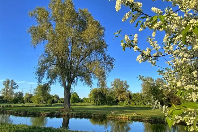 Unterwegs in Parks und Feldern  | Foto: copyright Margot Klütsch