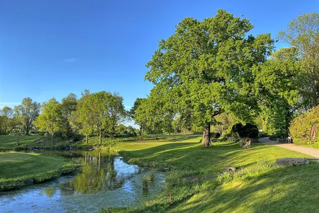 Unterwegs in Parks und Feldern  | Foto: copyright Margot Klütsch