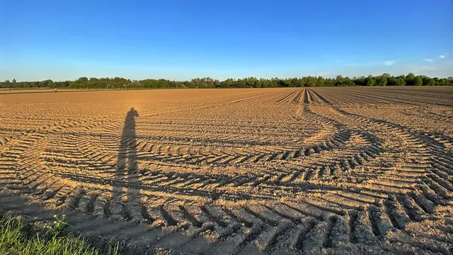 Lange Schatten: Unterwegs in Parks und Feldern  | Foto: copyright Margot Klütsch